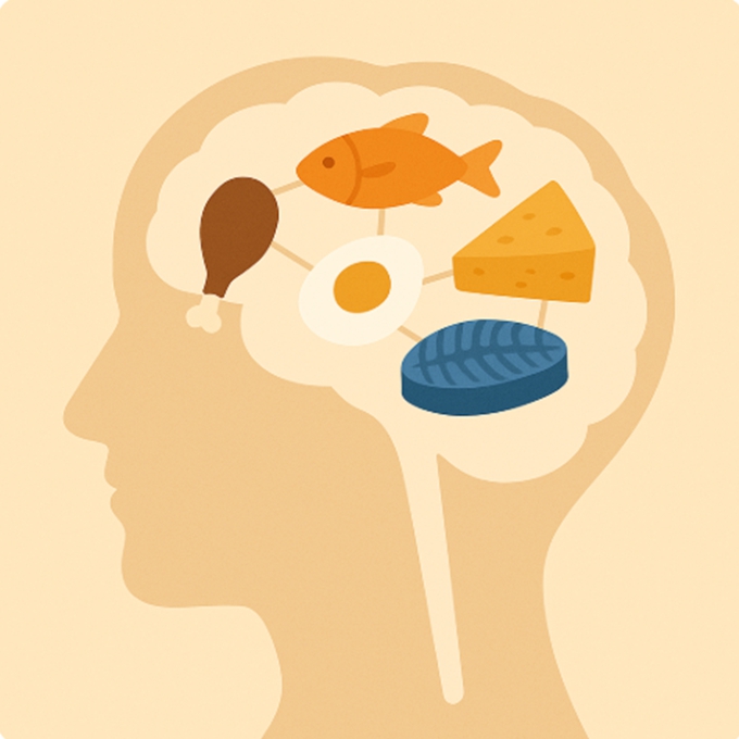 뇌 모양 안에 다양한 고단백 식품이 연결된 플랫 일러스트