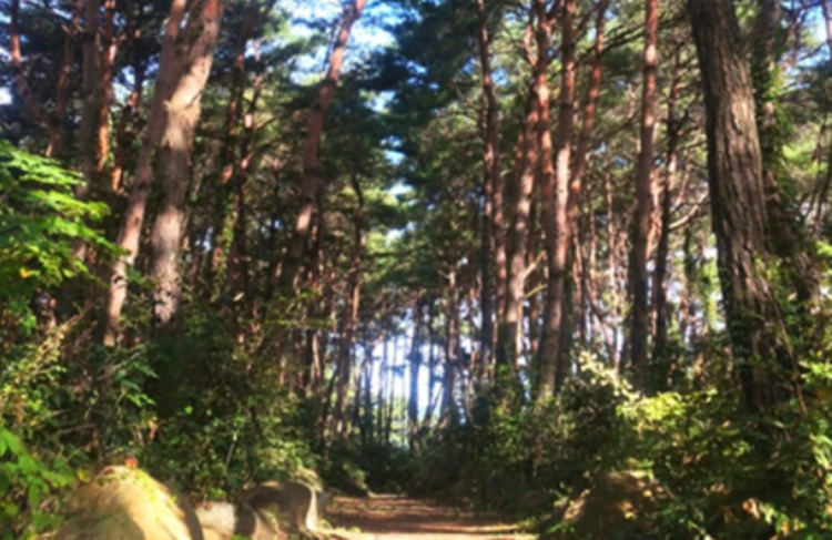 속초 밤하늘글램핑