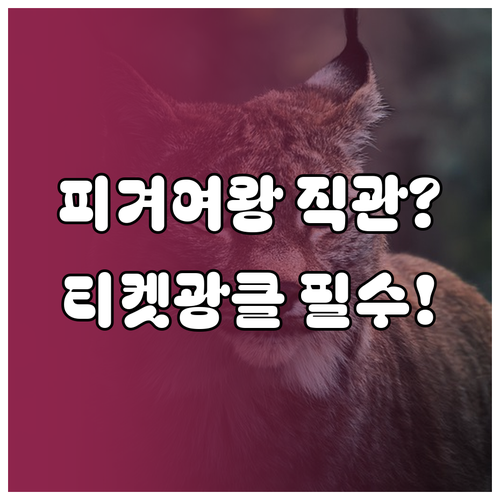피겨스케이팅 여자 쇼트 일정 및 올림..