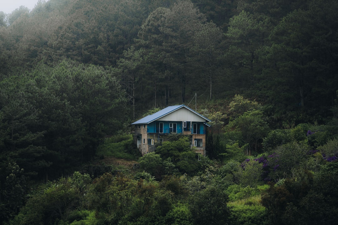 Living environment