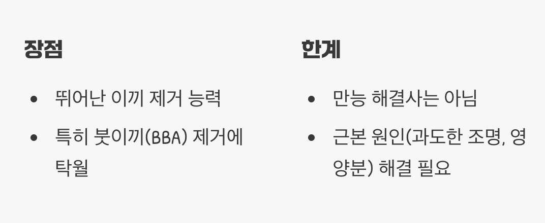 이끼 제거, 정말 해결될까요?
