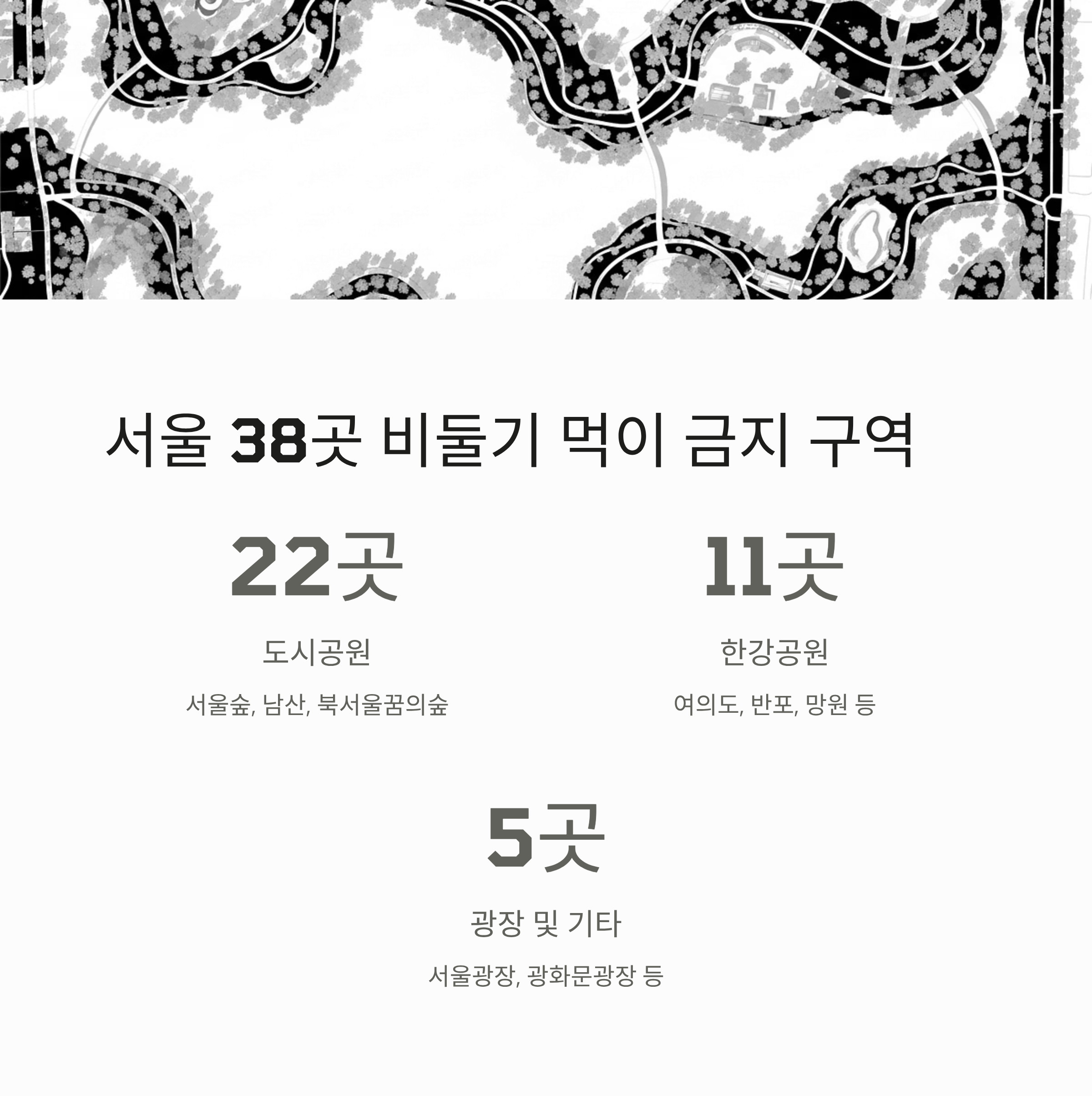서울 38곳 비둘기 먹이 금지 구역