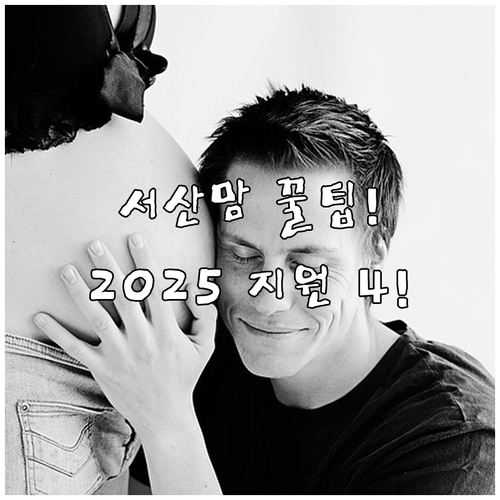 2025 서산시 거주 임신부라면 놓치..