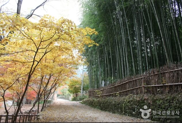 담양 가볼만한곳 베스트 10