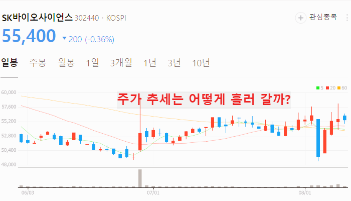 엠폭스 관련주 대장주 TOP10 : 원숭이두창