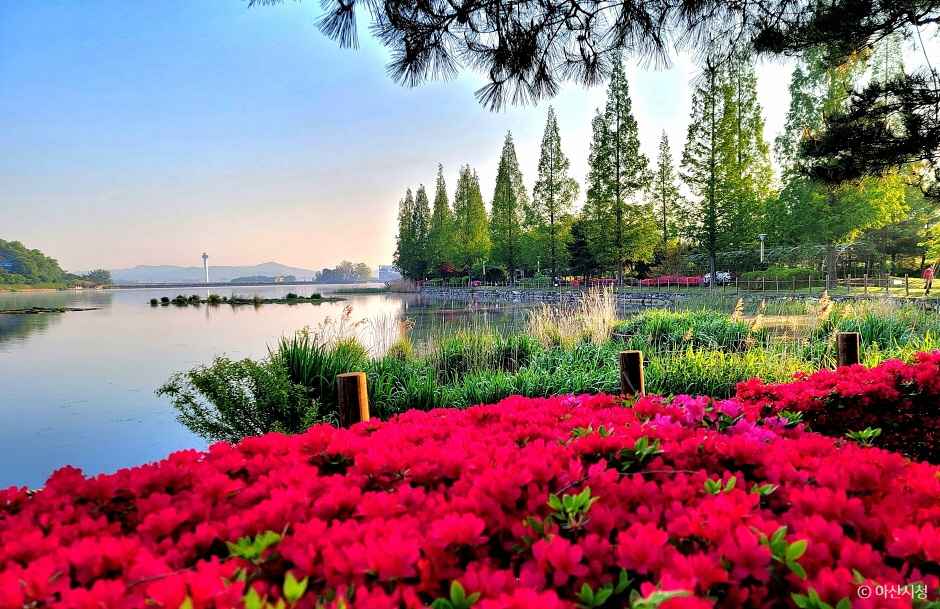 신정호관광단지