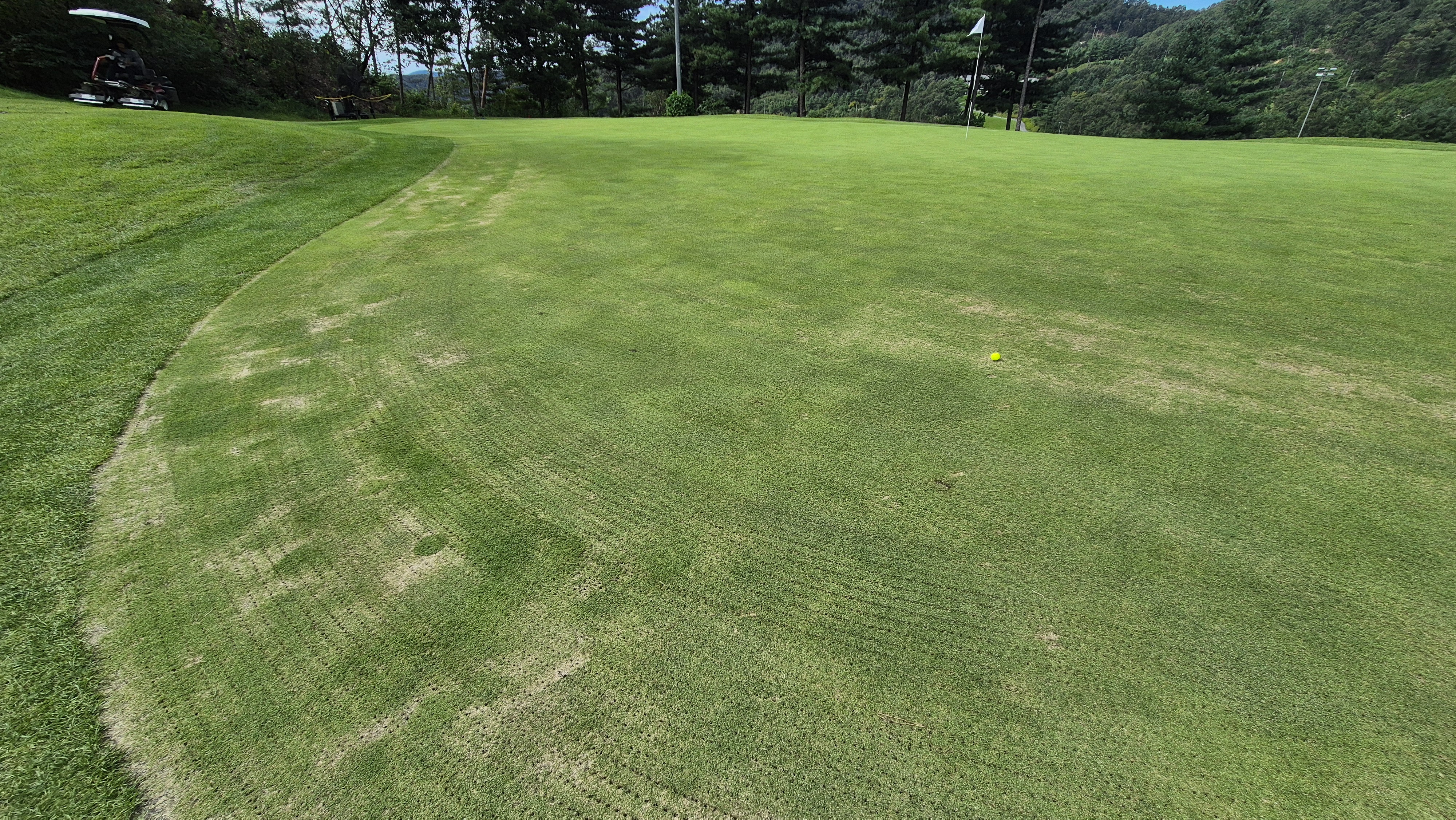 오크힐스cc 그린 관리 상태