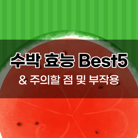 수박건강효능