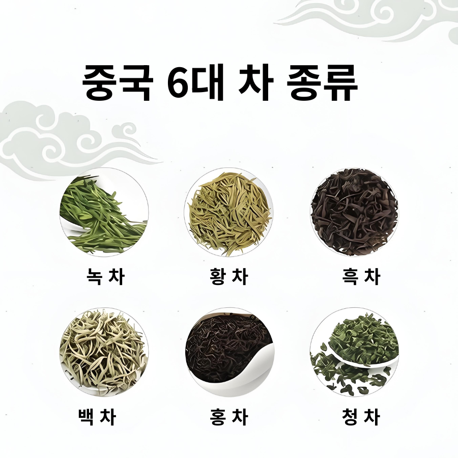 중국 6대 차 종류