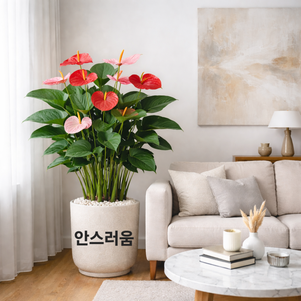 붉은 꽃이 돋보이는 안스리움 화분으로 화사함을 더한 거실 인테리어