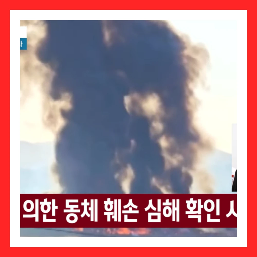 무안공항-여객기-추락-항공기-사고