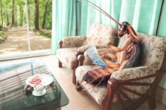 바퀴벌레의 생존력