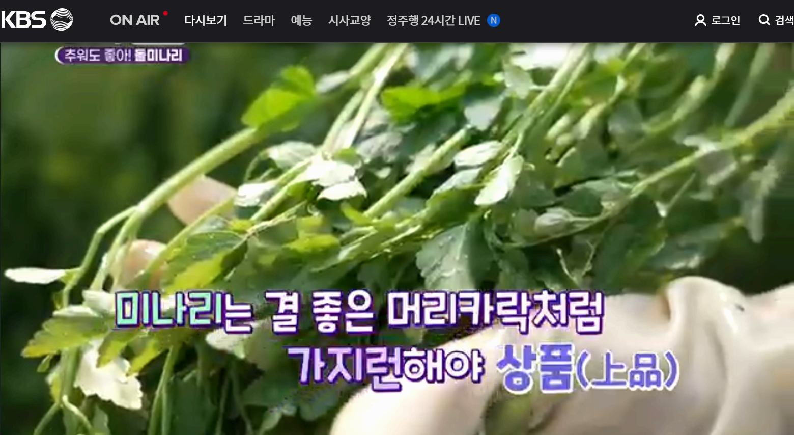 12월 24일 방송된 [ 돌미나리 - 전남 나주 ] 관련 정보입니다 