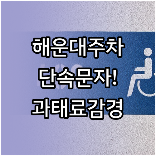 해운대구 주정차 단속 알림 문자 신청..