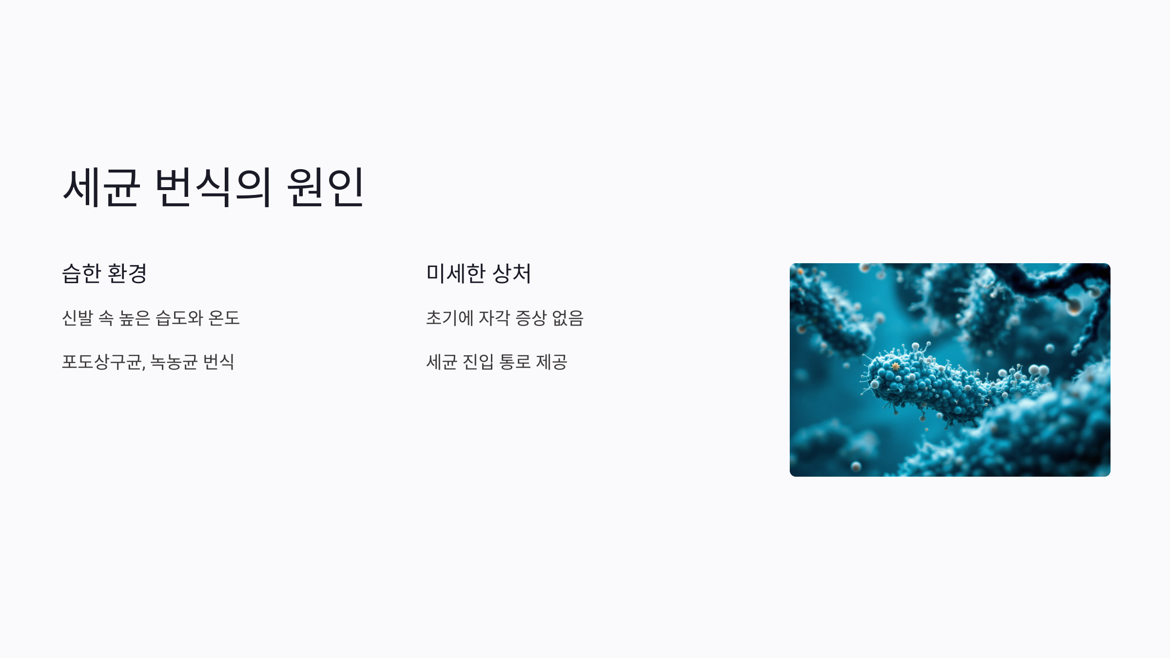 내성발톱이 세균 감염으로 이어지는 이유와 해결법 6가지: 피부과 전문의가 말하는 예방 팁