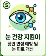 브로콜리 효능