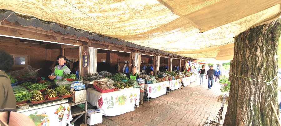 용문산 관광지 나물 판매