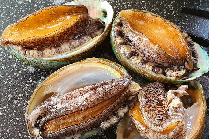 하남 미사리 바베큐 '털보네바베큐'