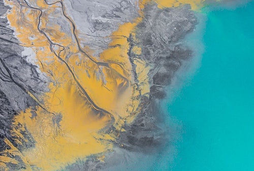 팜유는 어디에 사용될까?