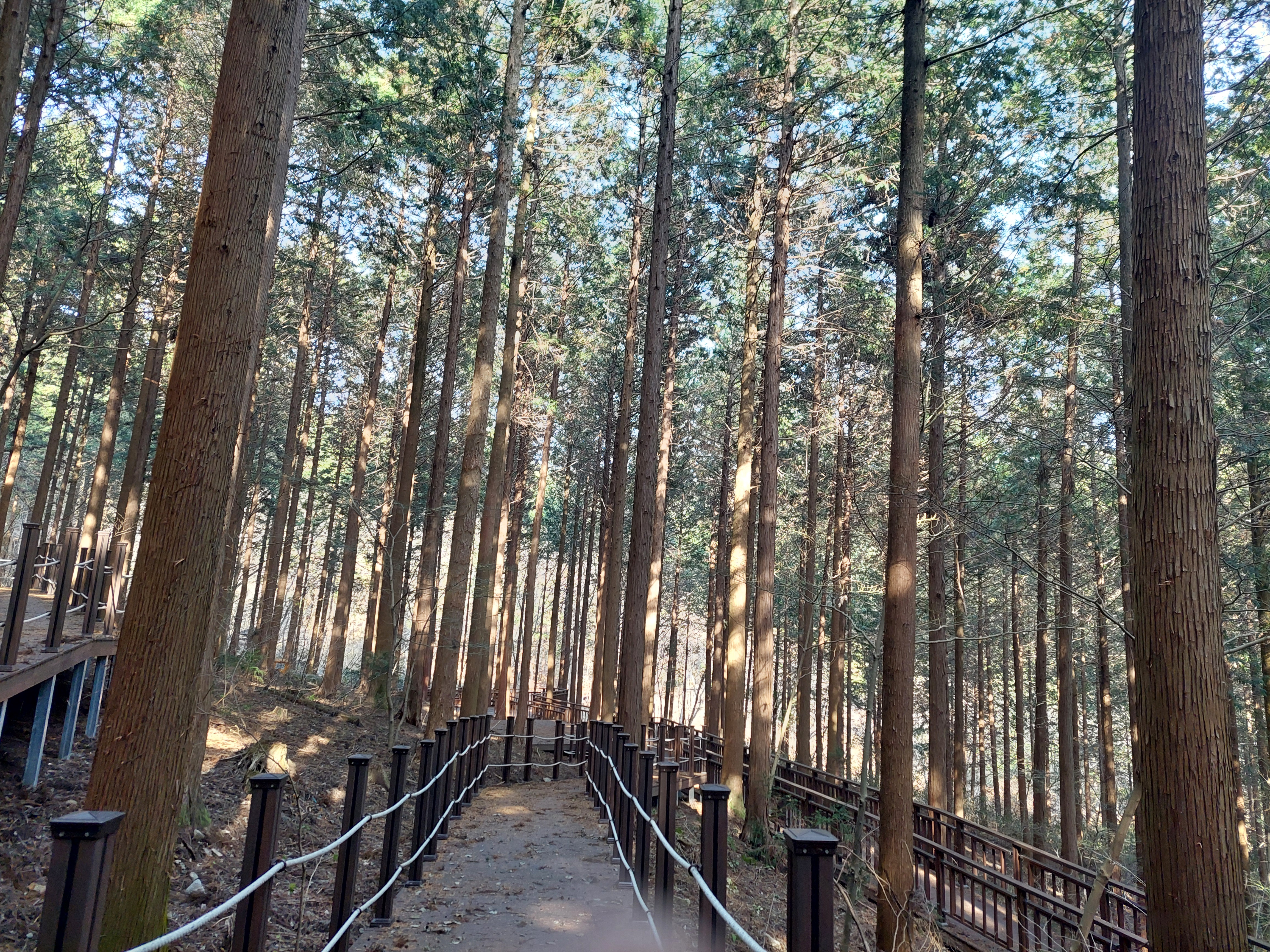 축령산