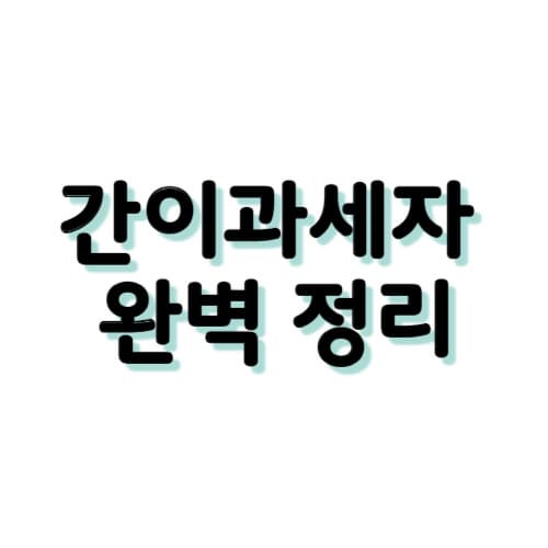 2025년 간이과세자 기준 총정리｜부가세 신고와 면제 조건까지!