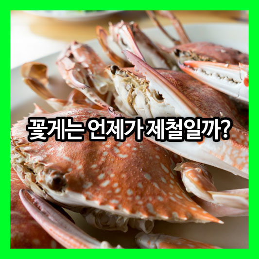 꽃게는 언제가 제철일까? 금어기와 축제, 싱싱한 꽃게 고르는 꿀팁까지!
