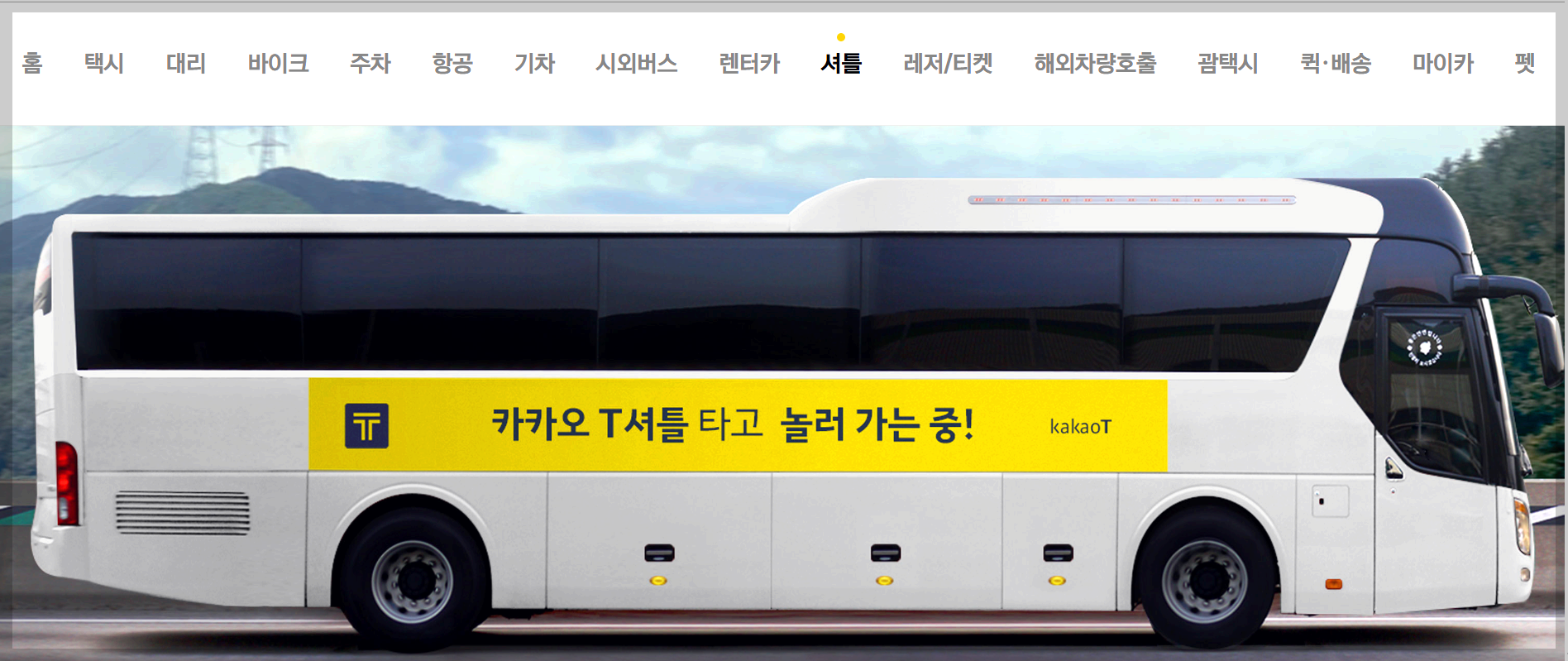 진해군항제