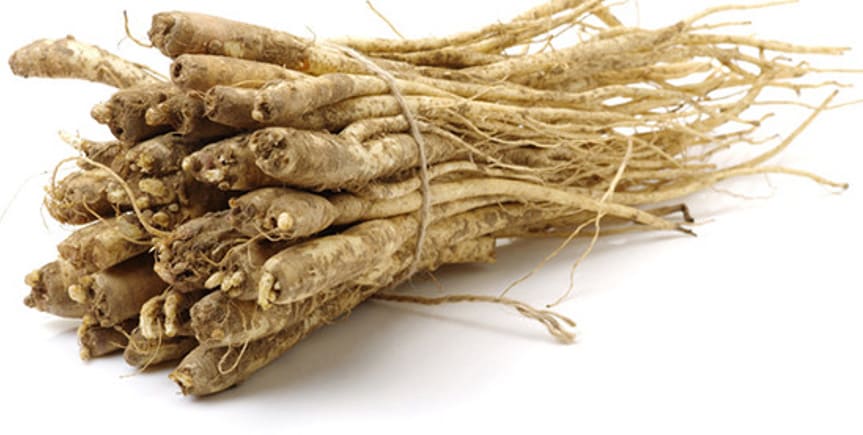 한 묶음의 도라지