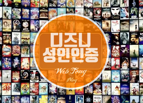디즈니플러스성인인증