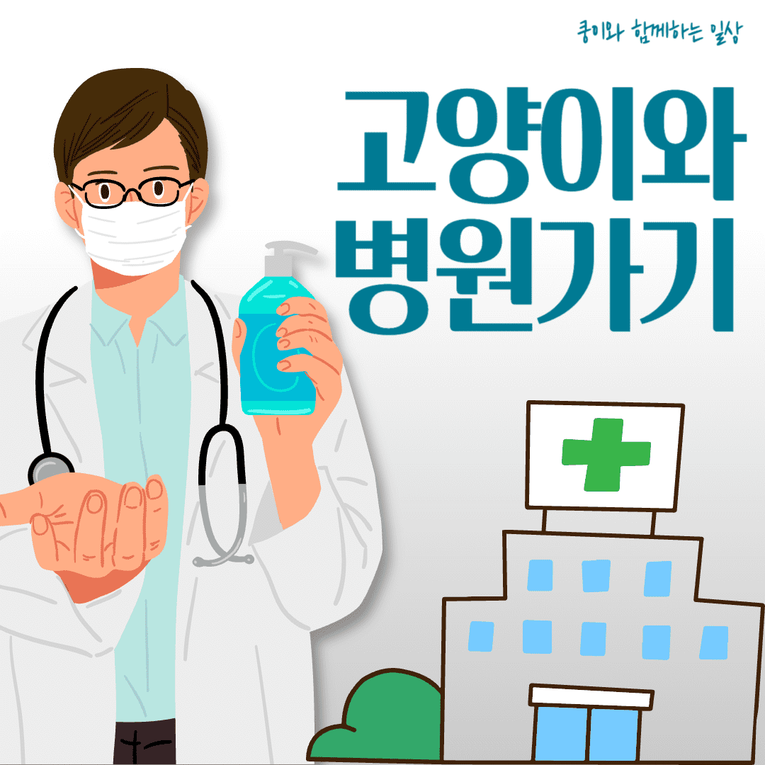 고양이와 병원가기