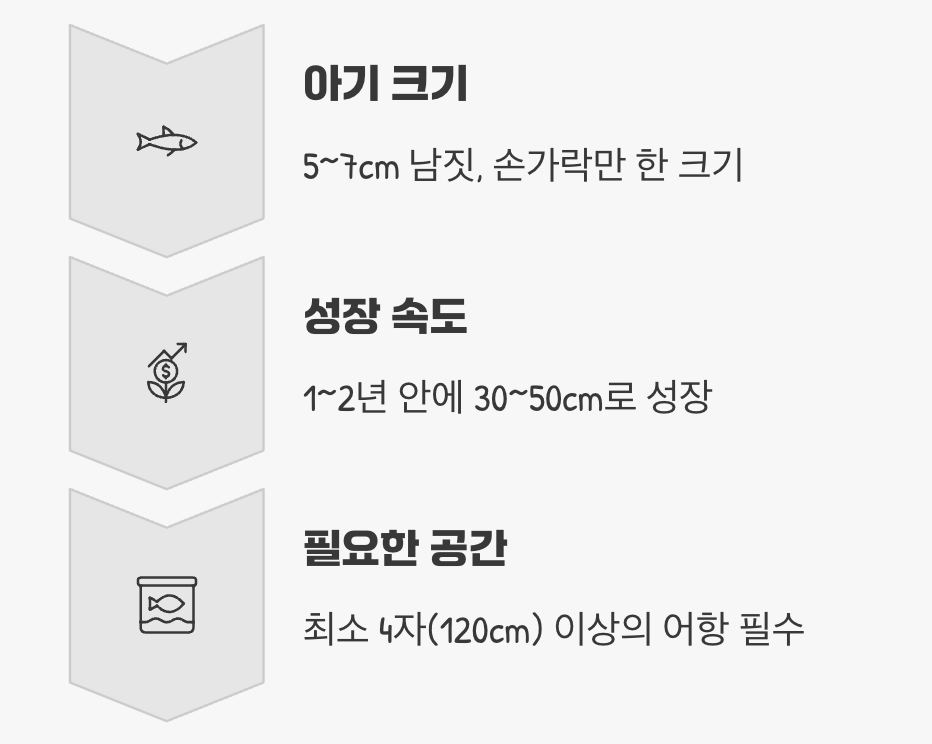 손가락만 했던 아기가 공룡이 된다