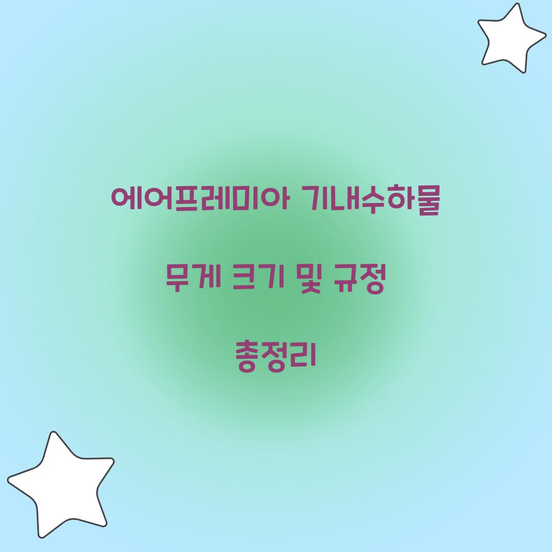 에어프레미아 기내수하물