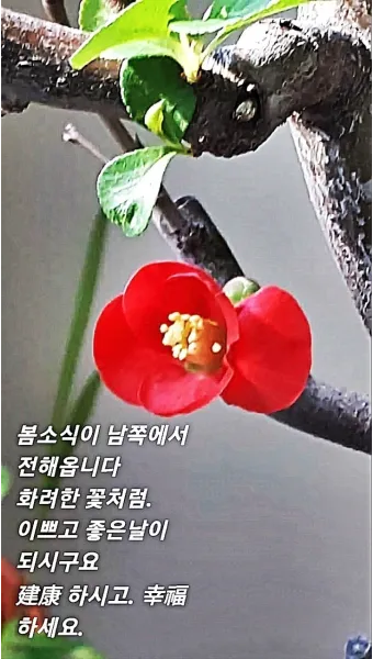 봄비 인사말 이미지 비오는날 일러스트_17