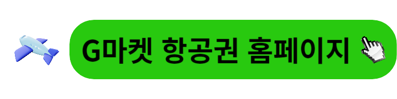 제주도 비행기표 예약