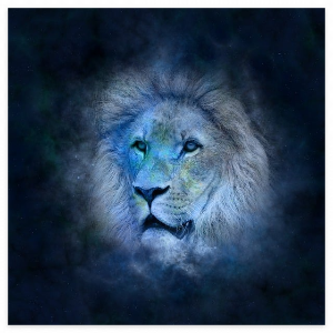 산수도인 별자리 11월 월간 오늘의 운세