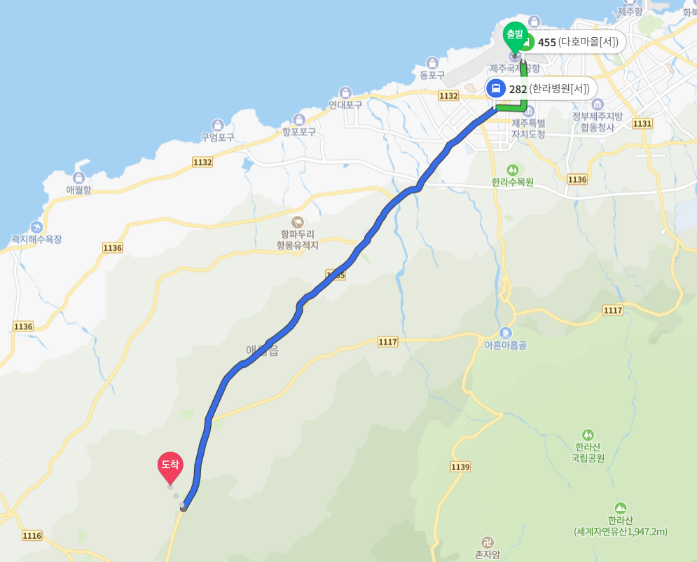 개과천선의 내맘정보공유-2023년 제주도 축제 제주등불축제 일정, 장소, 프로그램 (지역축제, 3월 축제, 봄축제, 축제 추천, 새별오름)