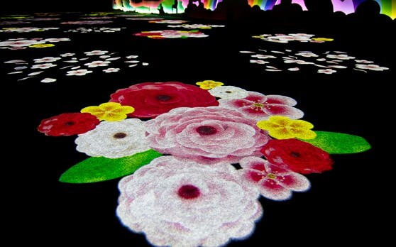 계룡세계 문화엑스포