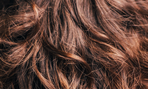 아마씨 효능 : 피부 및 모발 건강