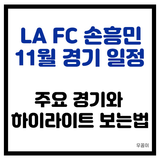 LA FC 손흥민 11월 경기 일정과 하이라이트