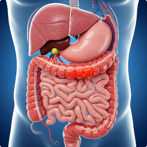 맹장염의 초기 증상