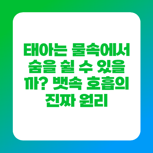 태아는 물속에서 숨을 쉴 수 있을까? 뱃속 호흡의 진짜 원리