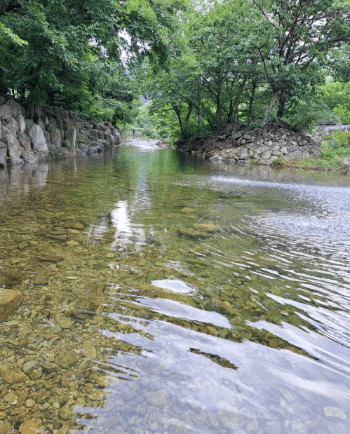 장성-남창계곡