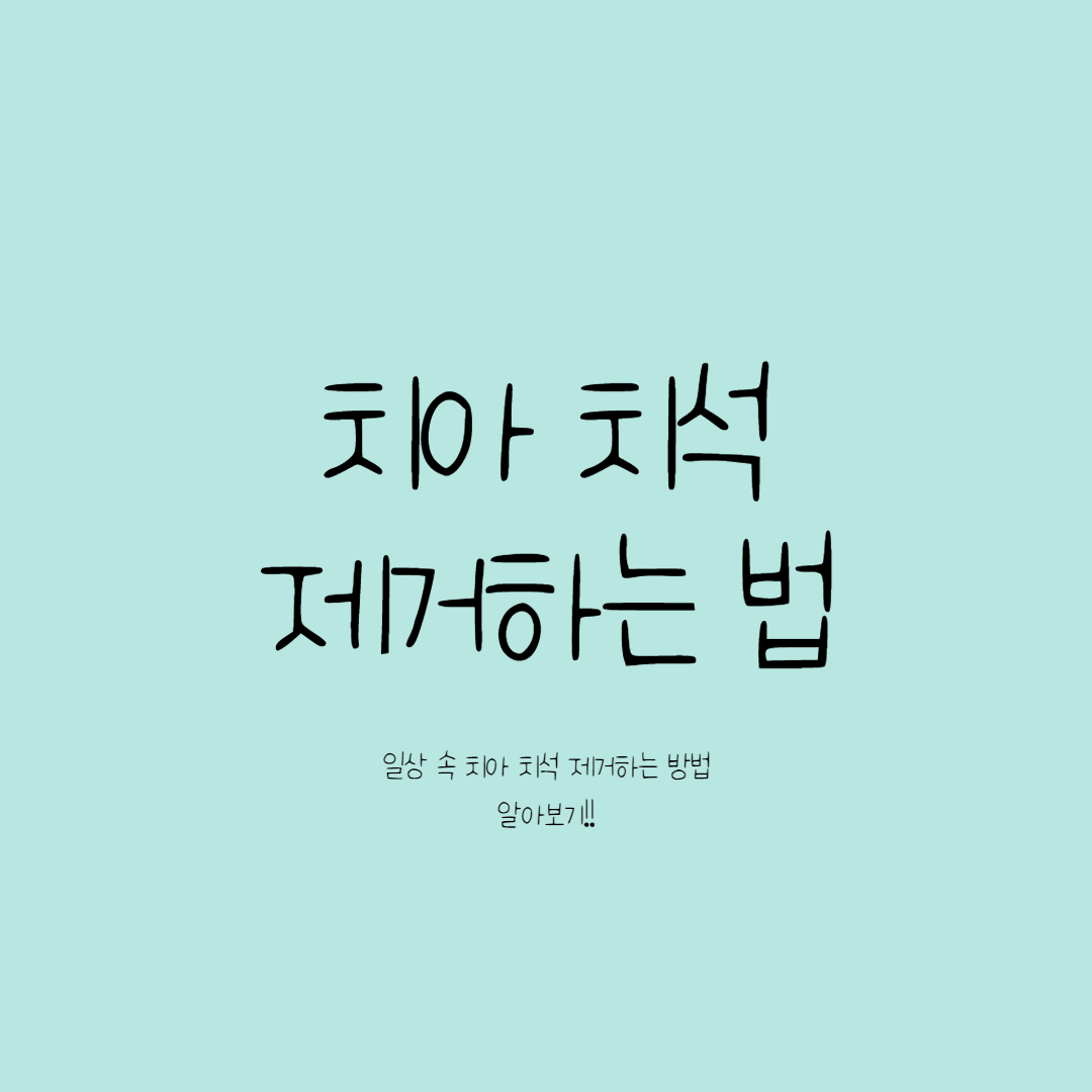 치석없애는법