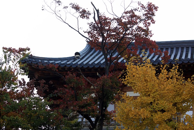 한국 전통 주거 양식에 나타난 곡선