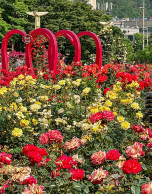 5월에 방문하는 축제 BEST 7