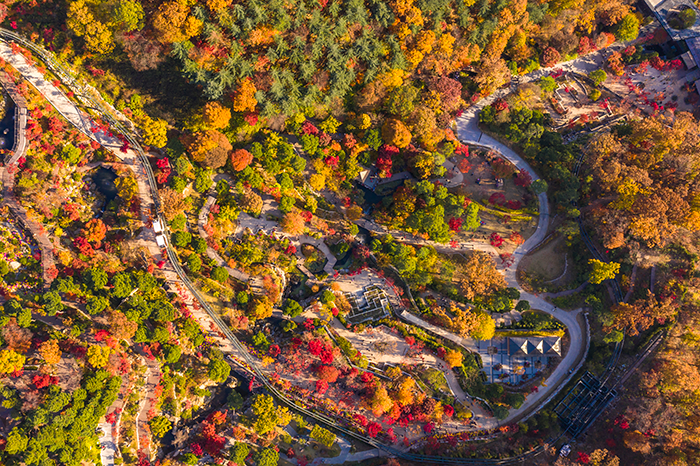 화담숲 예약 모노레일 단풍시즌