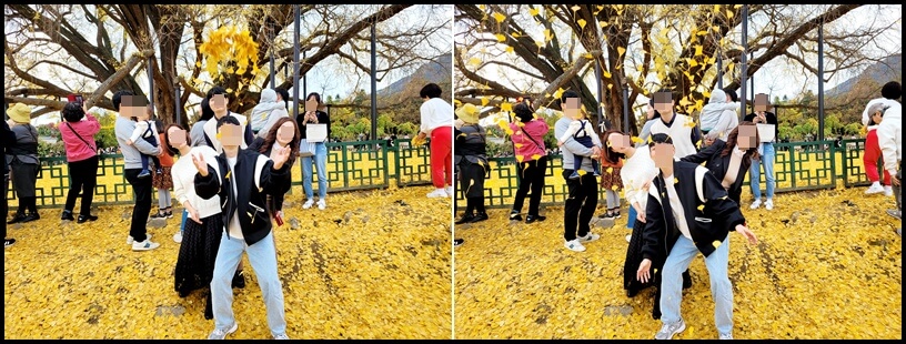 반계리 은행나무 앞에서 사진찰칵