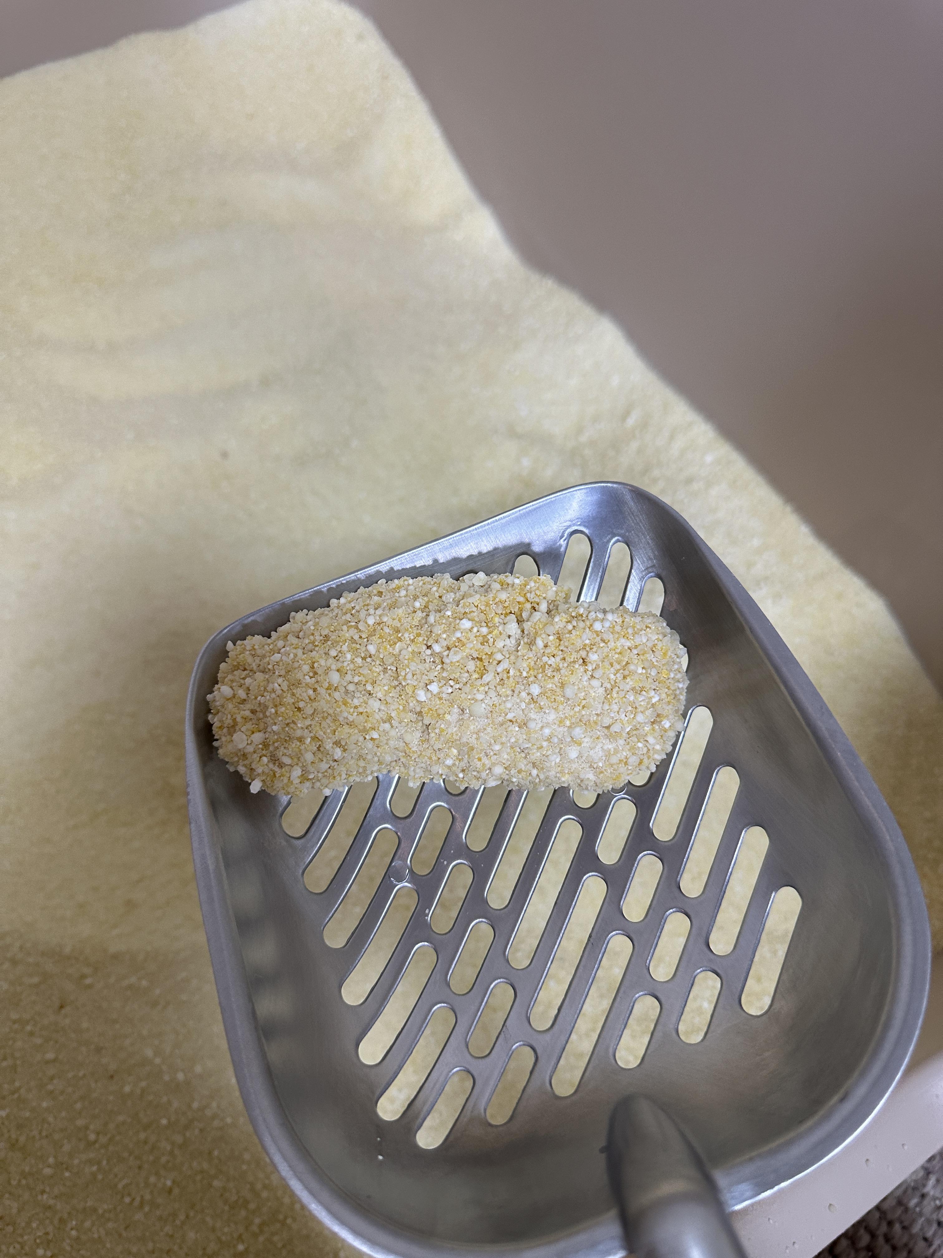 12월5일_오전_8시_50분경_호야_샛노란_오줌_1