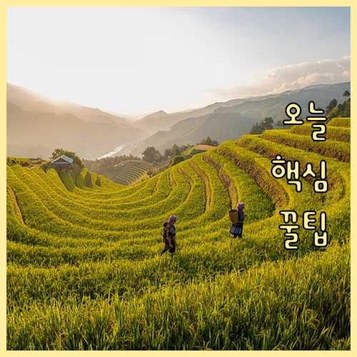 상생페이백 주요 배달앱 결제 제외 진..