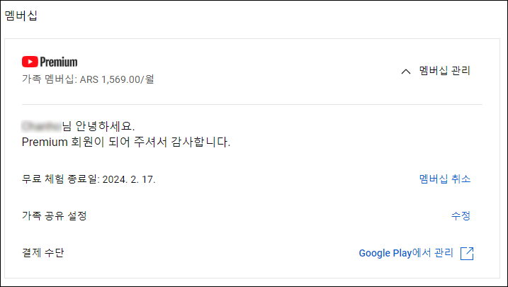유튜브 프리미엄 디지털 이민 성공한 모습